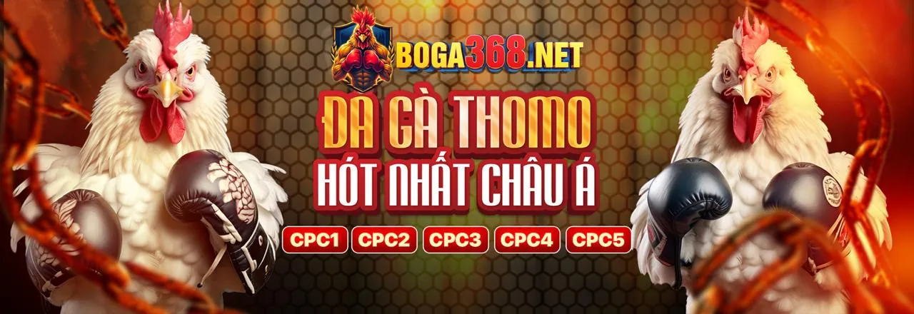 Đá Gà Trực Tuyến i888 win