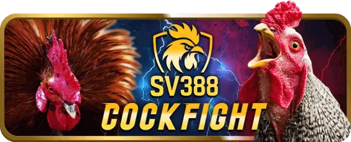Bước 4: Đăng nhập và bắt đầu
